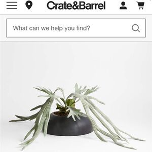 Crate&Barrel Charcoal Planter with Sage Green Faux Fern